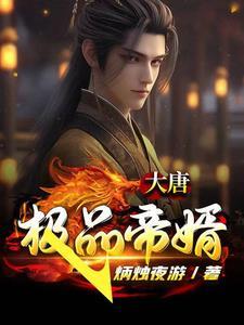 大唐极品帝婿 大唐极品帝婿