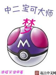 中二宝可大师梦 中二宝可大师梦