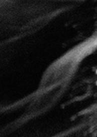 黑夜的玛丽亚 黑夜的玛丽亚